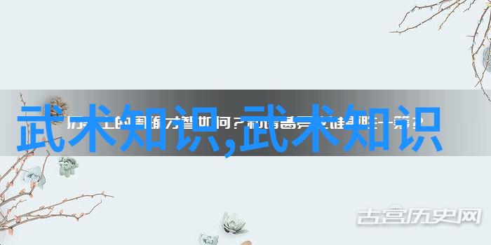 禁用武术网站剖析网络平台对武术内容的审查与管理