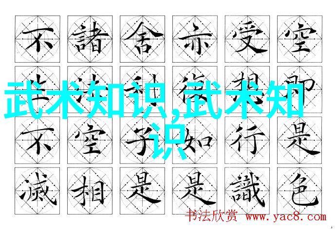在中国传统武术中南拳和华拳各自有何特长