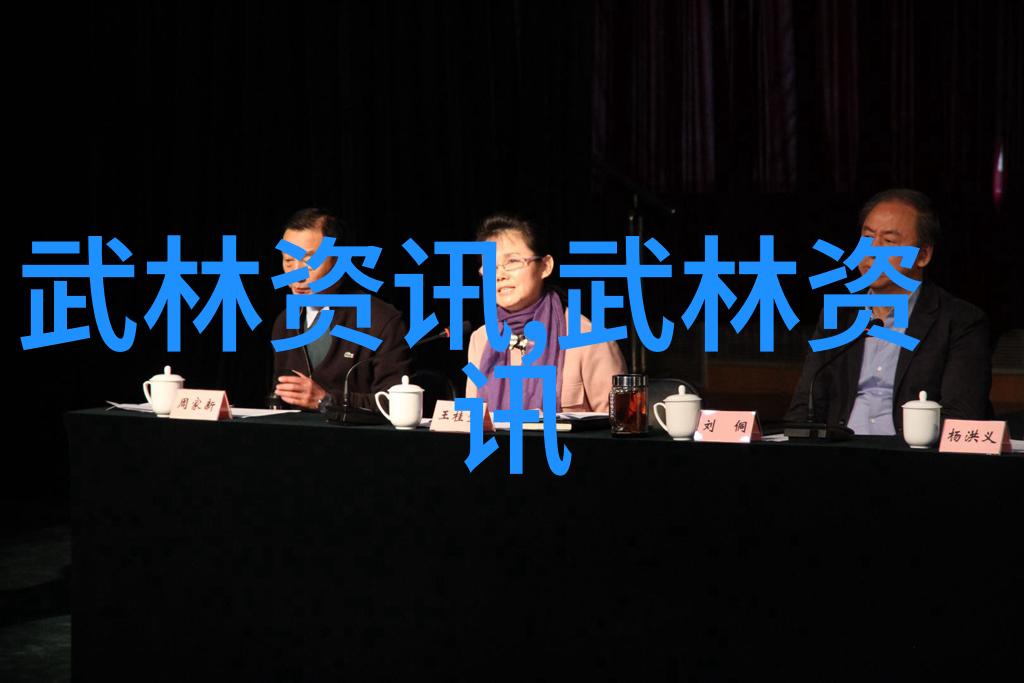轻松学太极四十式拳法视频教学与口令详解
