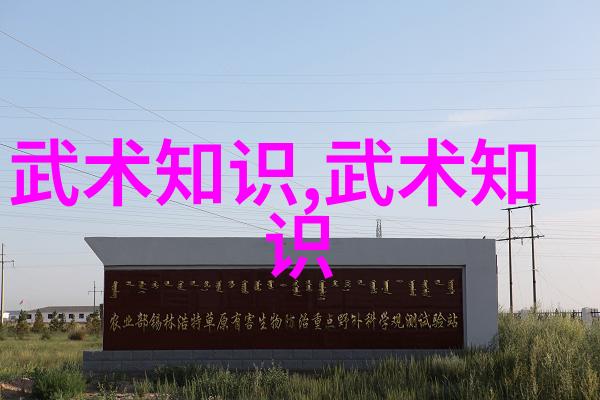仙家谱系研究那些拥有仙气名号的家族历史
