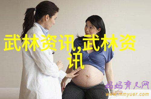 武林16大门派秘籍赵堡太极拳之传承