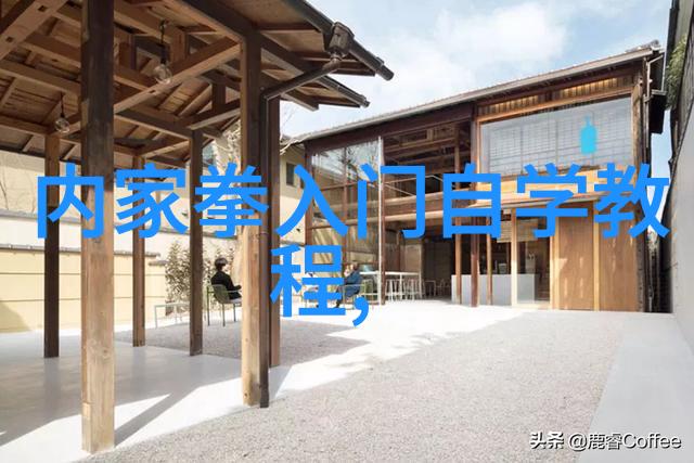 从书页到身法少林武功秘籍大全的实战训练方法