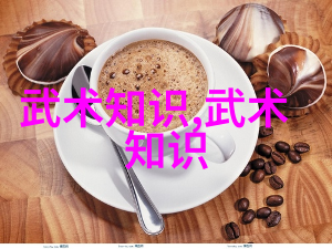 探索中华武学之道中国武功的练习艺术与传统方法