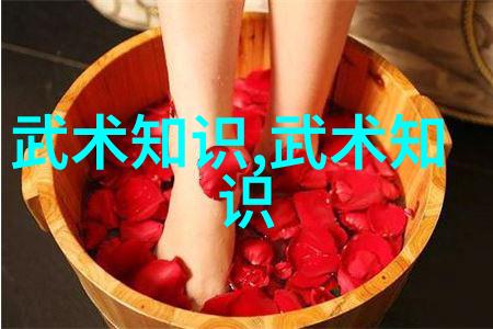 欧洲VodafoneWiFi侏儒穿越无线边界的奇迹之旅