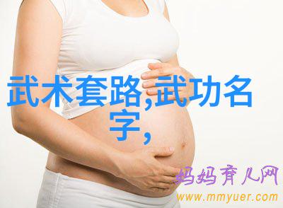 全国129门派精英汇集何氏弹腿震撼武林的神秘拳种