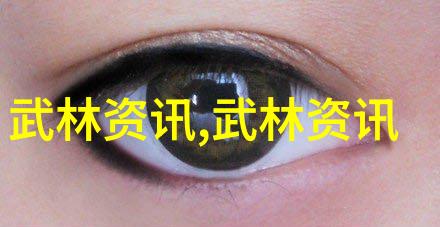 武林门派有掌门吗龙行太极拳