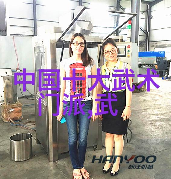 古代武功秘籍排名中太极拳的意仿佛有了生命它在空气中悄无声息地流动像一位老者指点迷津引领着修炼者走向内
