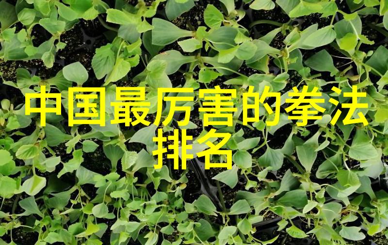 神秘内功心法古老的内功修炼方法
