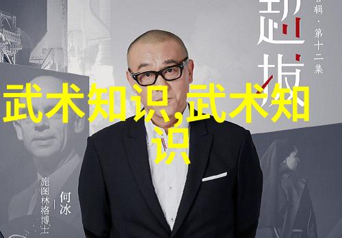 静中藏动二十四式简化太极拳图解