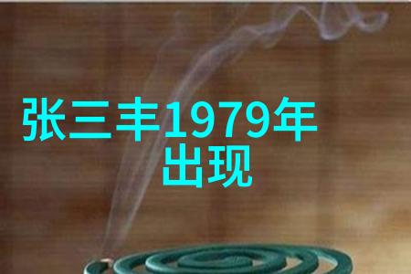 道家的理念在哪里体现出江湖上的无形剑法