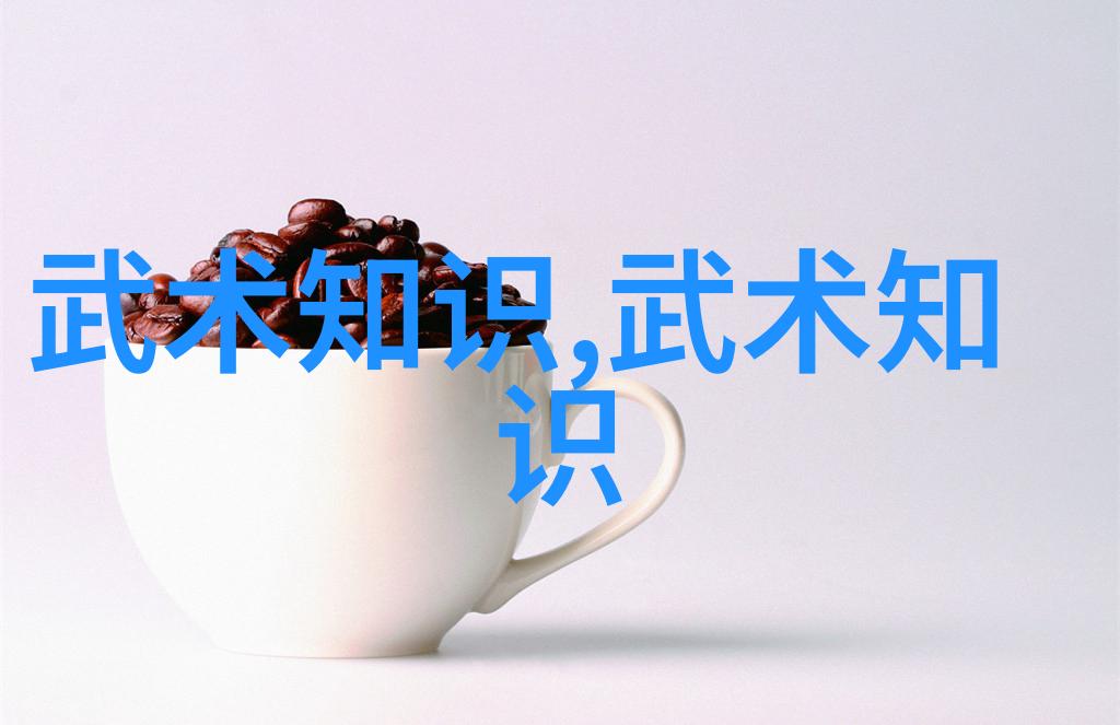 武学秘笈揭秘内家拳法的精髓与练习方法