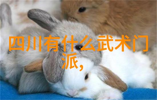 碧空联盟星辰下的誓言