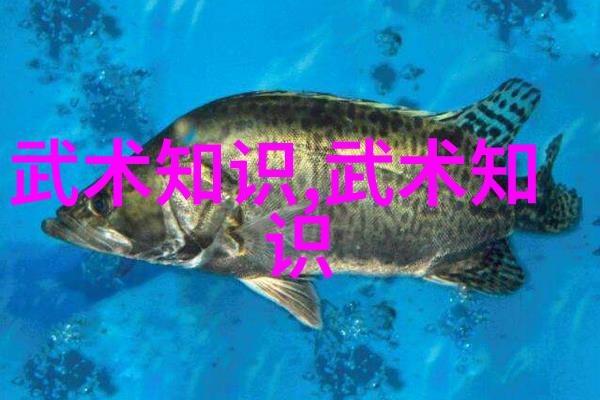 武术刚开始练什么太极拳与气功之旅