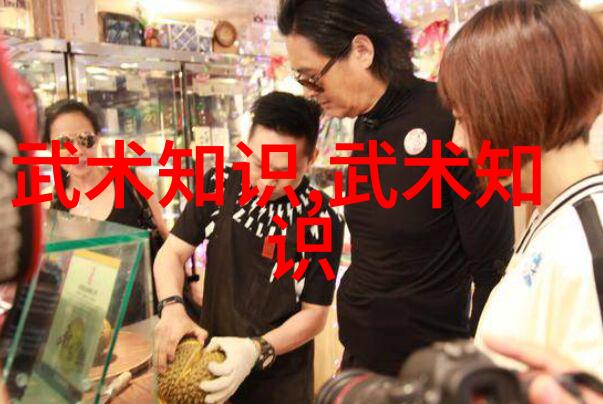 武学之旅自学武术的智慧与实践