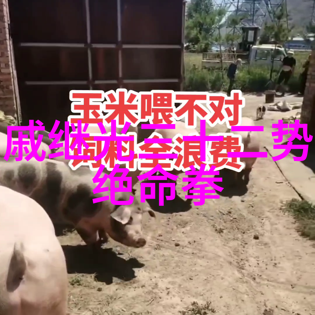 绝世神功古龙四大巅峰武学探秘