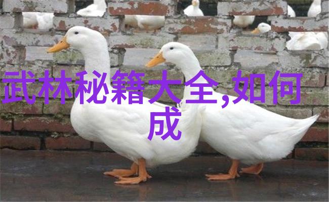 7岁游泳梦与9岁健身挑战水之舞中的差异步练