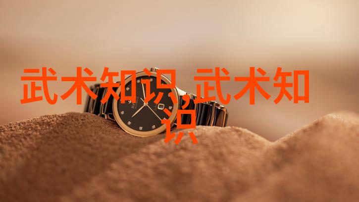轻功秘籍揭秘练习最快提升武功的窍门