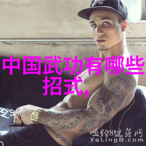 拳法十六招式图解 - 探秘武林绝技一套完整的击打艺术系统