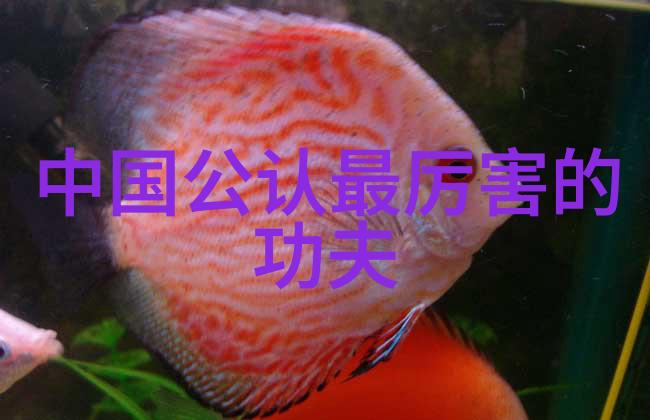 古武入门修炼法-天地初源寻找内心之道