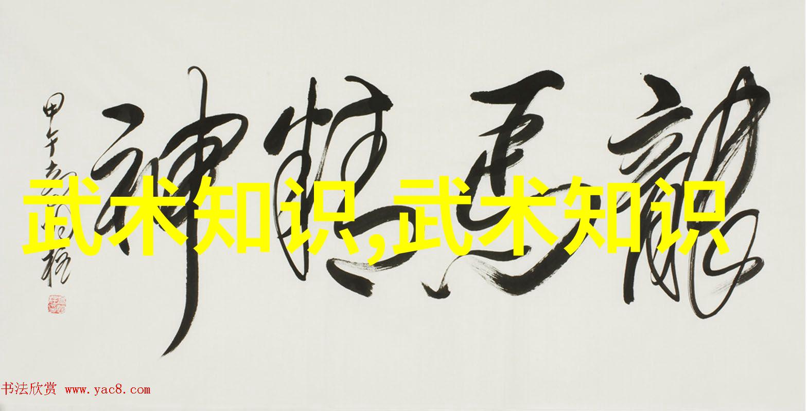 少儿散打武术培育身手与智慧的奇妙途径
