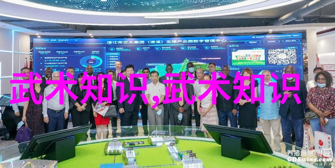 武术活动名称大全-拳刃舞影武术活动的精彩纷呈