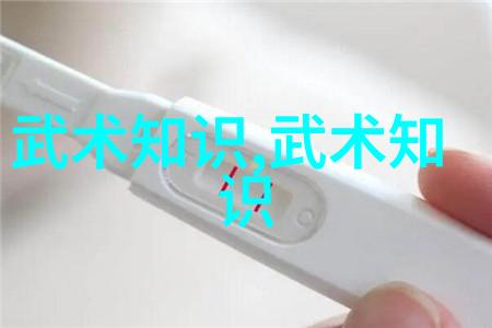体验传统智慧二十四式简化太极拳的实践