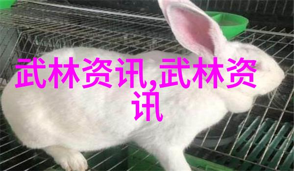 仙门门派史略探秘古老传承