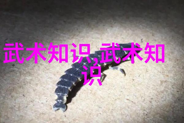 拳道秘籍揭秘形意拳最忌之招