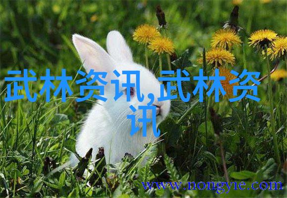 寻秦记txt我是秦始皇的儿子扶苏你知道吗