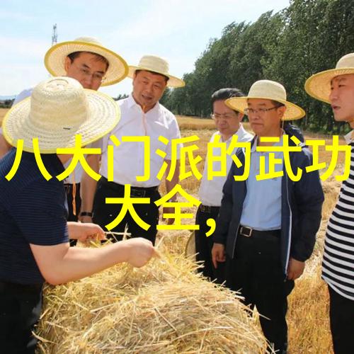 在黔东南发现一线天深入探访少数民族特色拳法流派