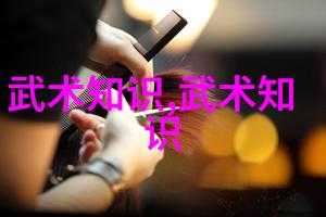 南拳与华拳哪个更为绝技揭秘两大武术流派的厉害程度