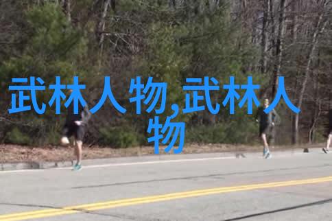 太极内功的精髓王嘉林的功夫大全招式拳法