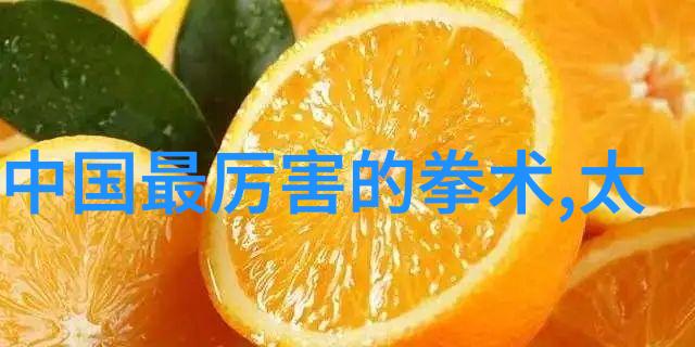 基础武功秘籍-掌握内家外家的精髓解锁真传武学之道