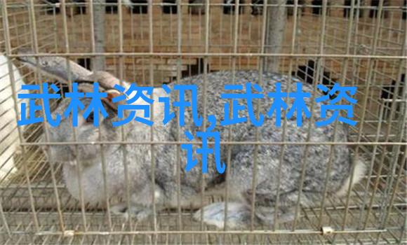 意境古朴高雅的店名-岁月沉淀探寻古韵商铺的魅力