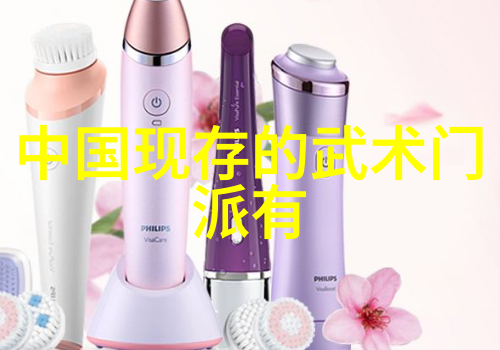 中国武术十大门派之汇极拳揭秘中华拳艺的巅峰之选