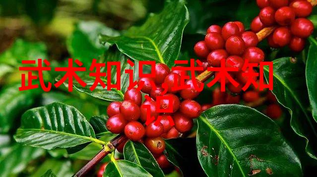 现代门派探秘程派八卦掌之谜