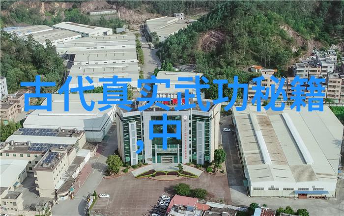 太极拳24式自学图解步入格斗的艺术殿堂化身武林中的华山一剑