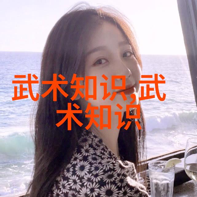 拳法十六招式图解 - 掌握精髓从基础到高级技巧的完整指南