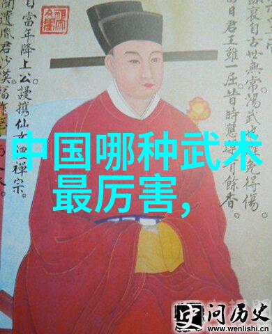 武术禁令网站探索全球对武术法规的最新动态