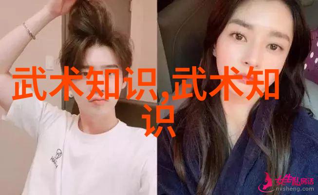 探索现代门派从武侠小说到现实生活中的不同流派