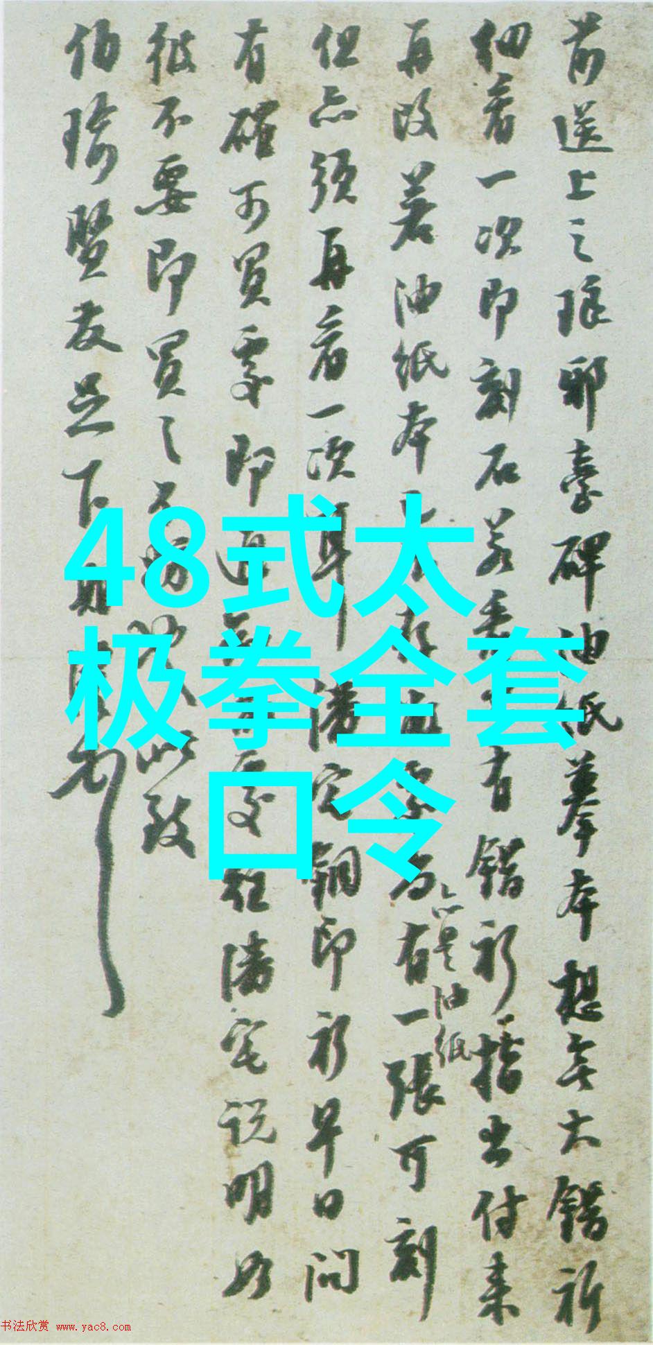 反复提及的诗意帮派之杨氏太极拳