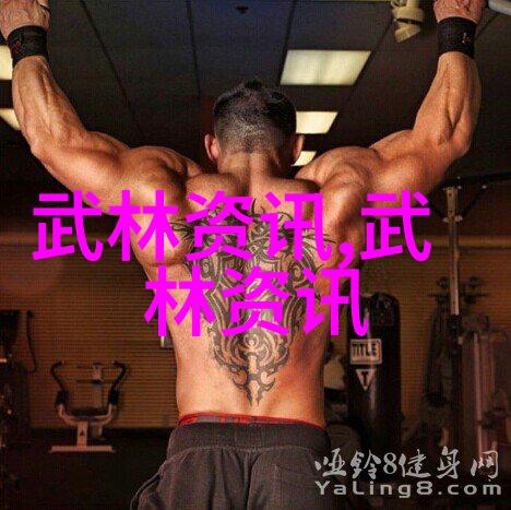 古风帮会杨门拳法秘籍