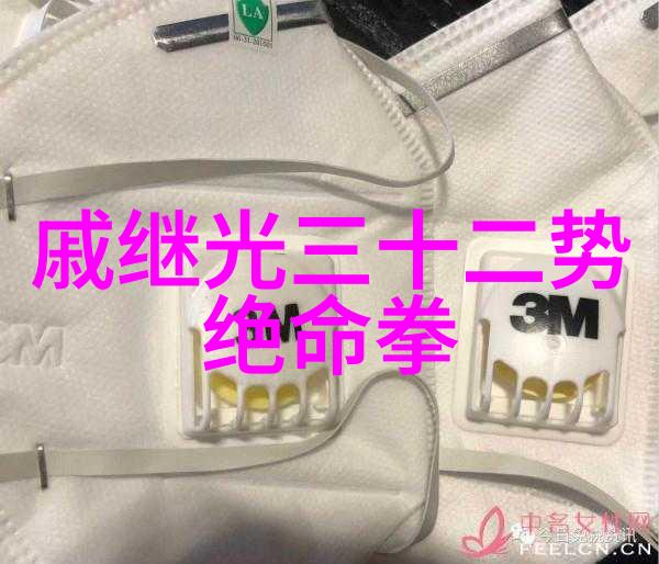 从入门到精通32式太极拳全套分解的学习路径