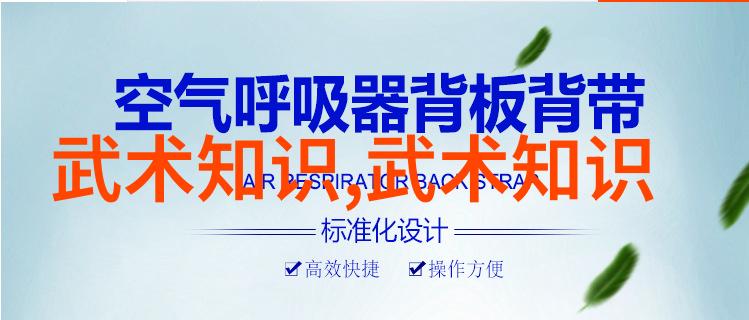 武林高手的双重修为探索武功与武术之谜