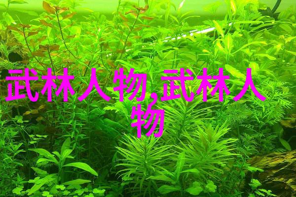 碧波流光剑 水性大师的心法和招式集锦