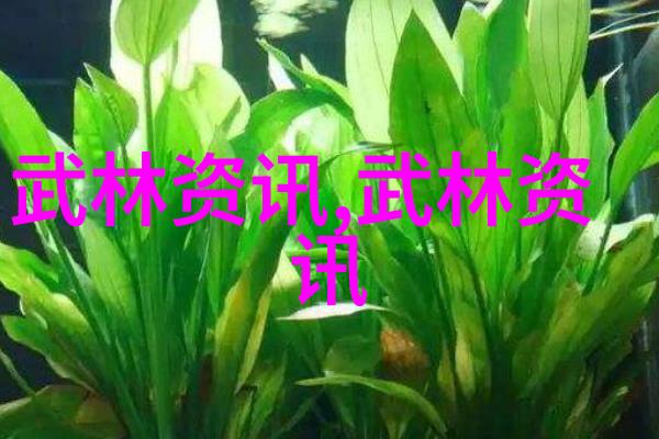 青春无限激情传青春的无限激情与传承