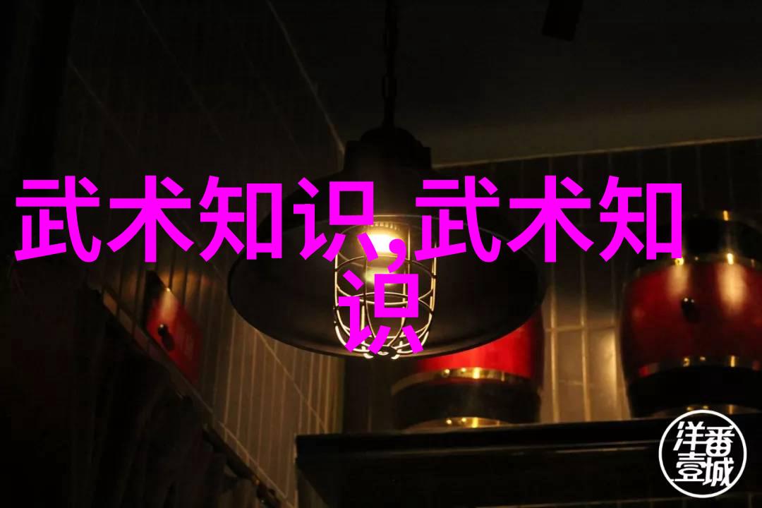 四房播播播探秘传统中国家居布局的智慧与美学