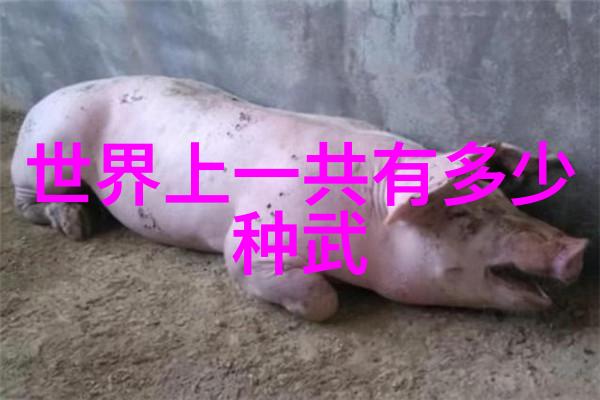 从初学者到高手再探究每个部分的深度十三式太极拳分析与实践