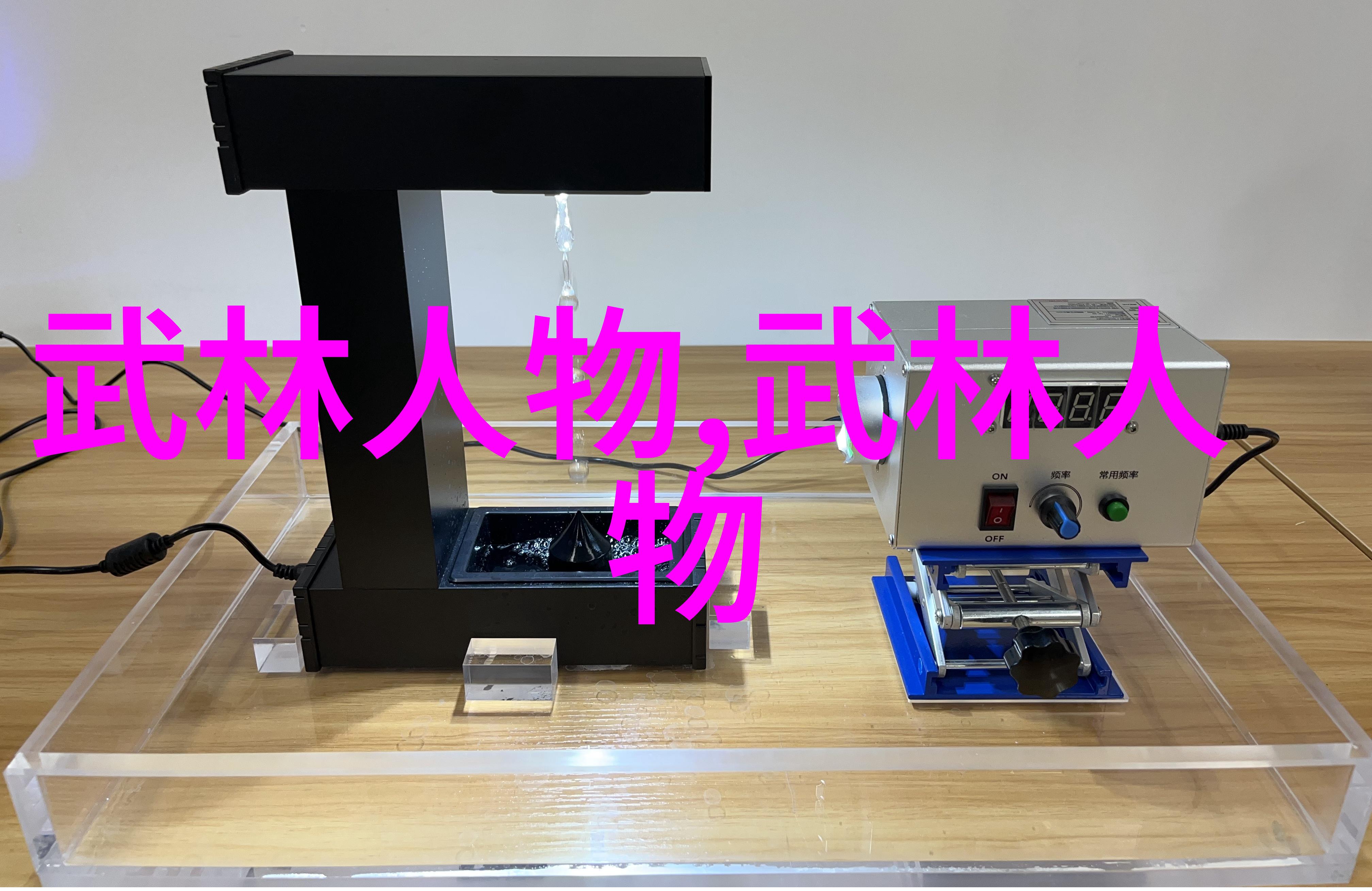 蓝色星辰下的空中舞者法国空姐的浪漫篇章