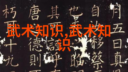 解锁太极奥秘24式太极拳分解动作教学的神奇之处在哪里